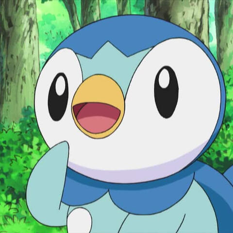 dawn's piplup (dppt)