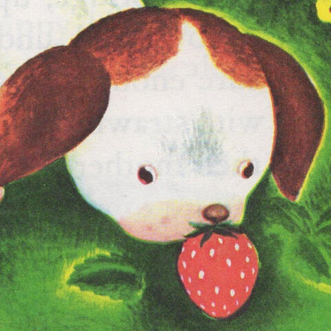 the poky little puppy